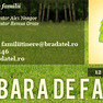 Tabara pentru familii - 2013
