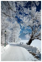 Mai mult decat un decembrie inzapezit