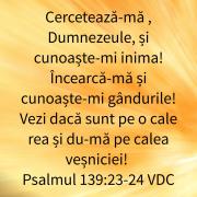 Oglinda timpului