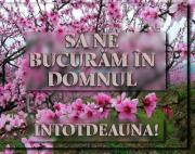 Bucuria în Cuvântul Domnului