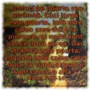 Divinitatea Scripturii, importanța subiectului ei