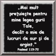 TREI VIEȚI