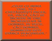 Scopul focului topitorului în viața răstignită -3-