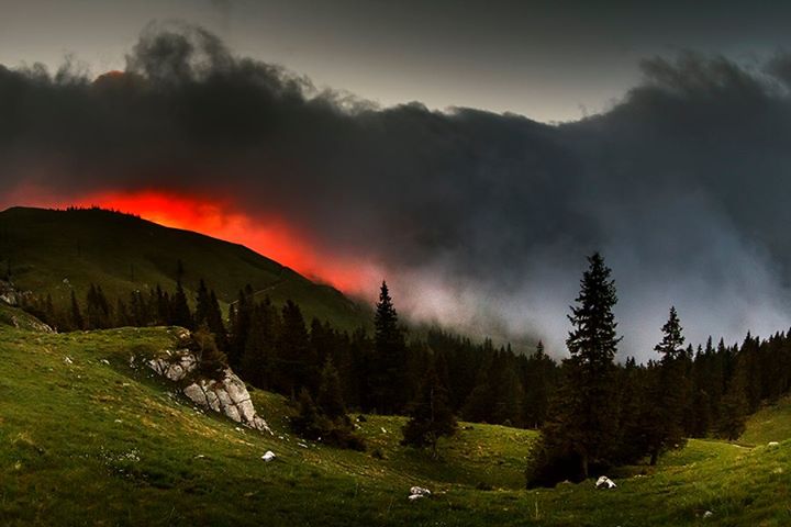 Epicurieni și Stoici