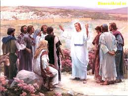 Prov. 8.12-13