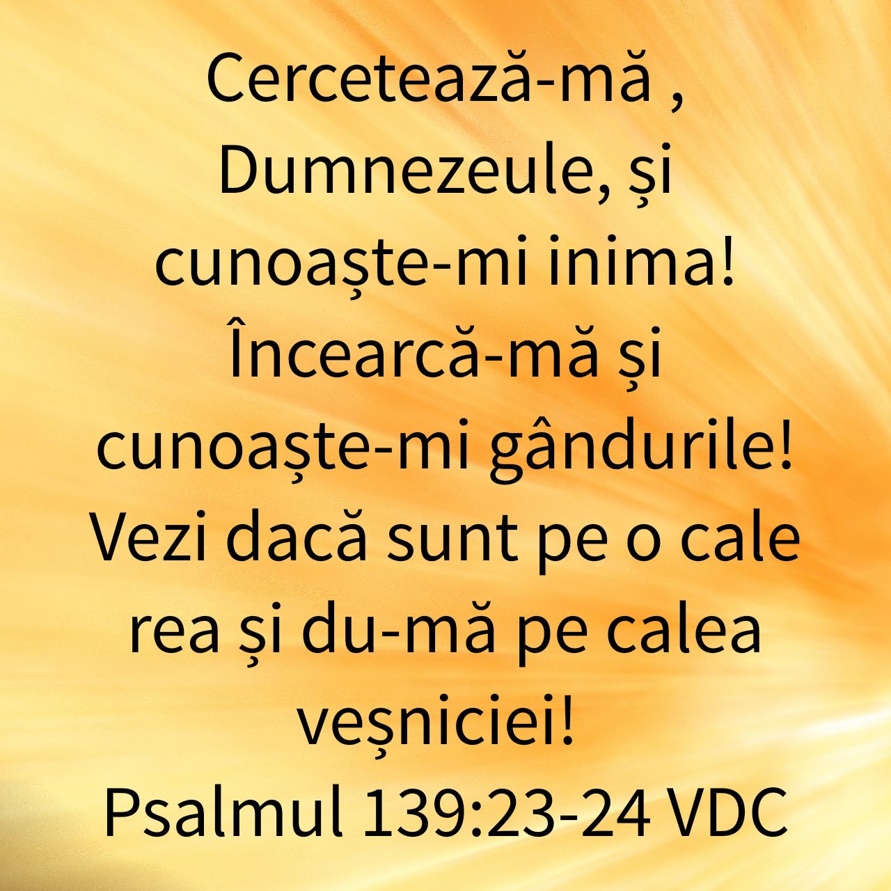 Oglinda timpului