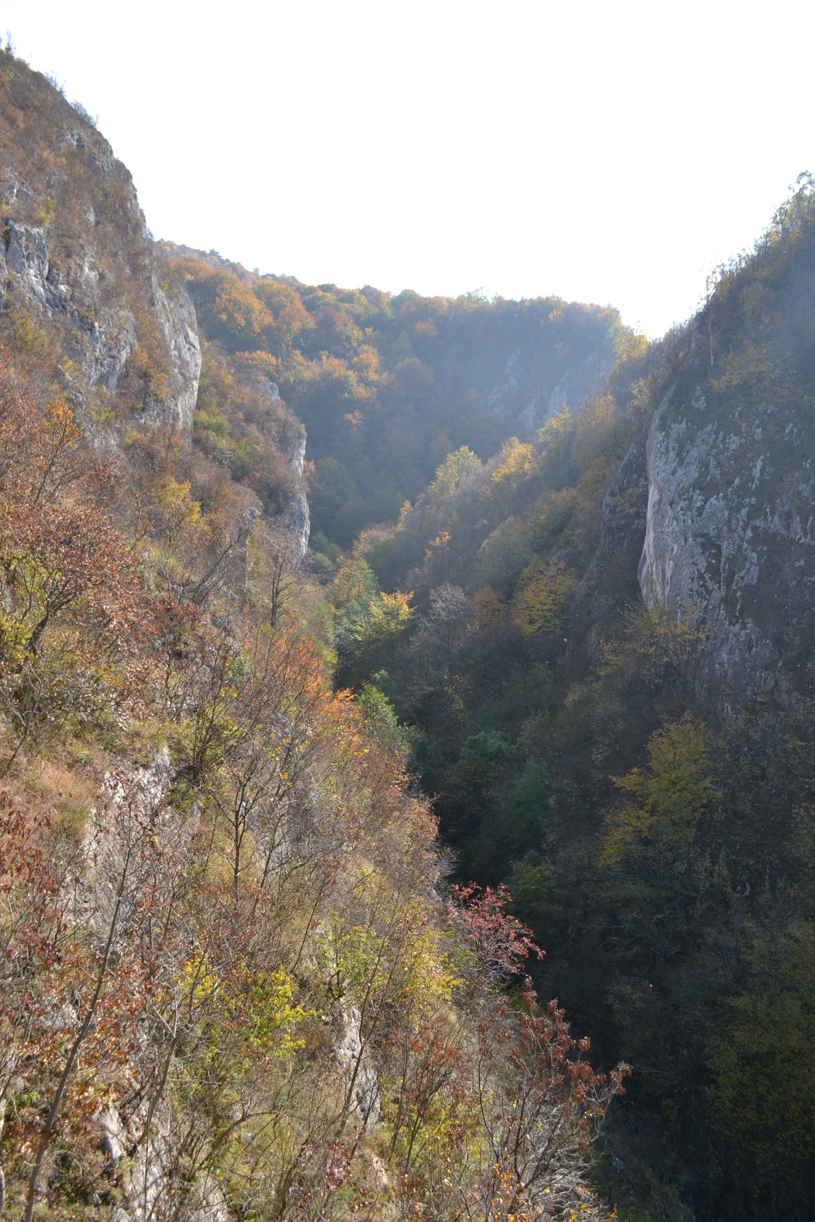 Cârtirea, piedica în calea transformării