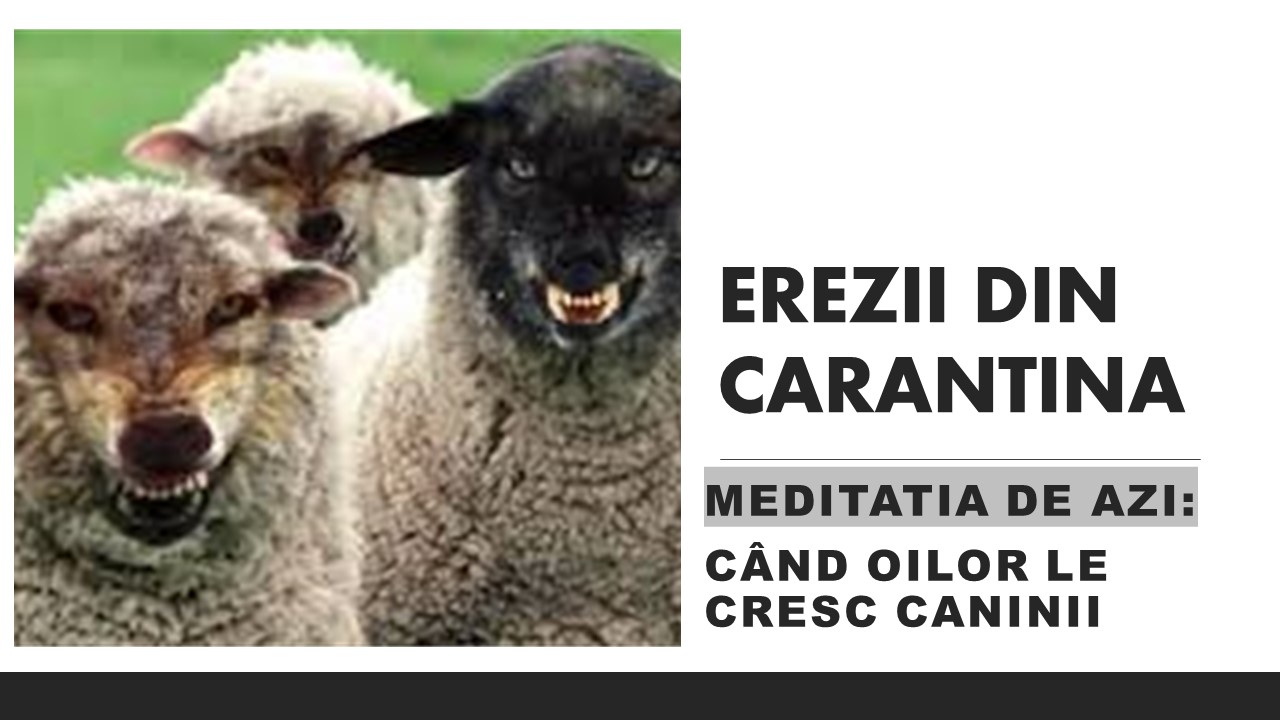 Când oilor le cresc caninii
