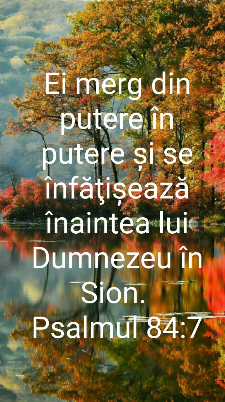 Despre transplantul inimii de porc