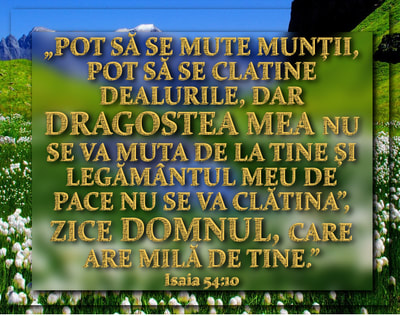 Sfinții -2-