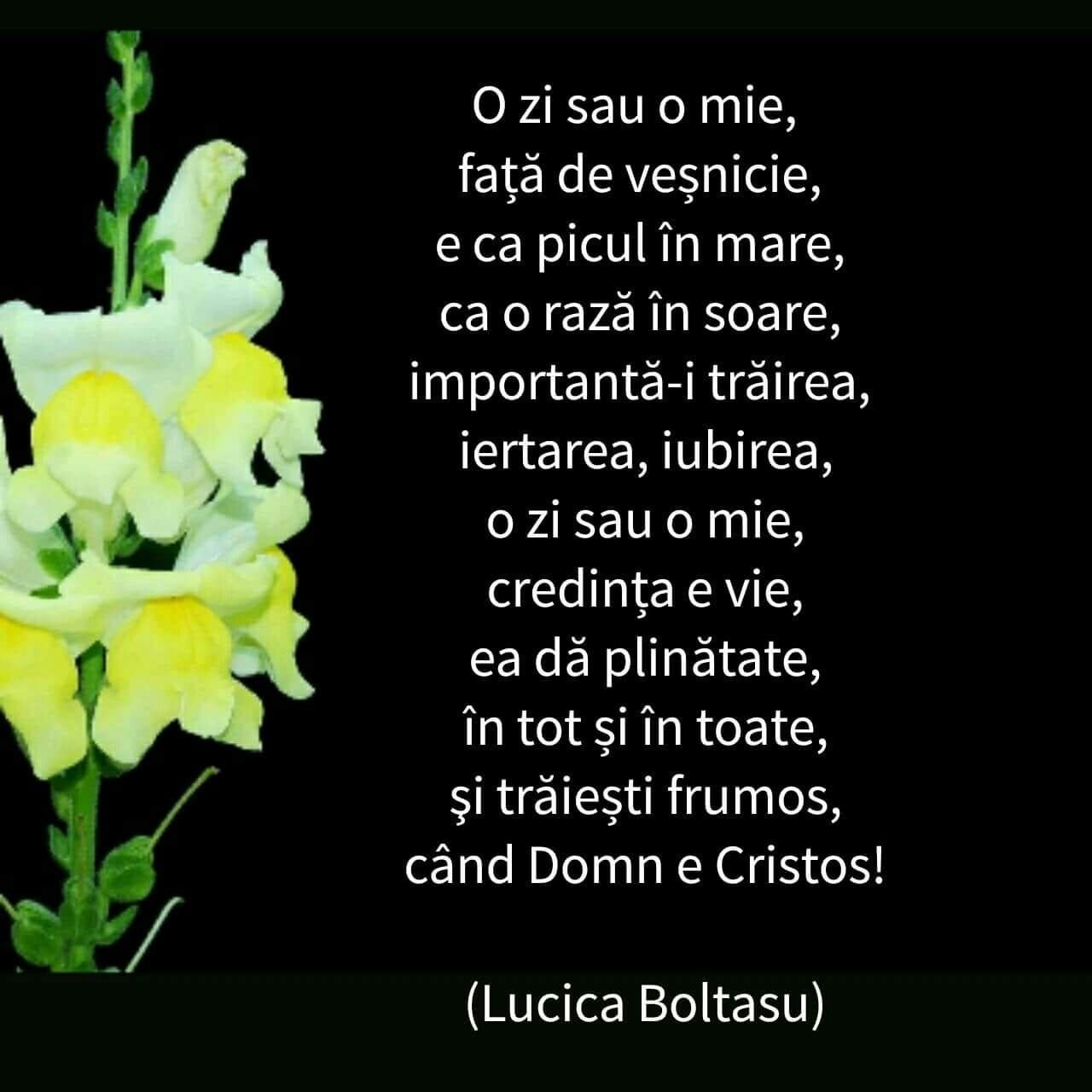 Cu fiecare an ce trece
