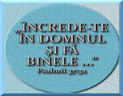 Frumusețea contradicțiilor