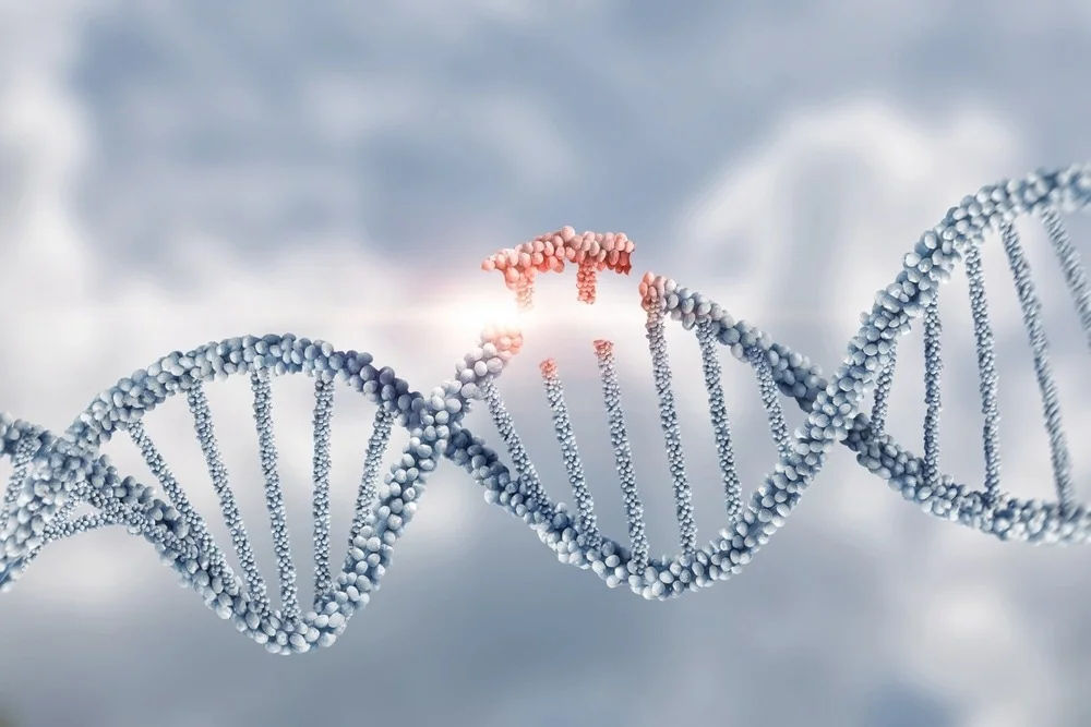 (07) Despre mutații și inginerie genetică