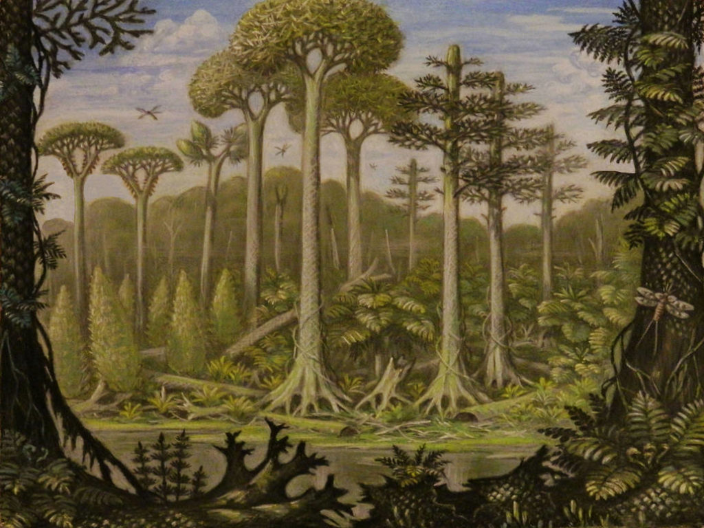(07) Autorul Genezei