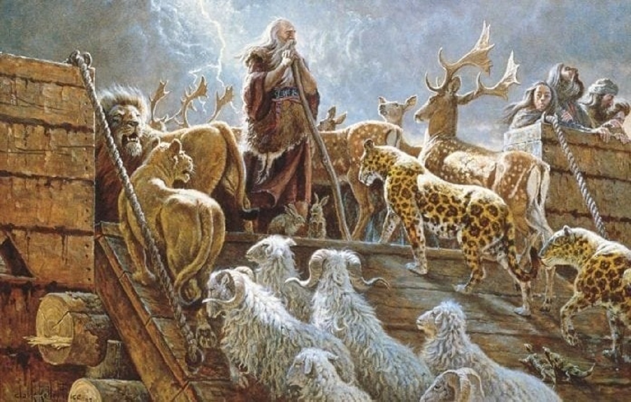 (15) Cum au încăput animalele pe corabie?
