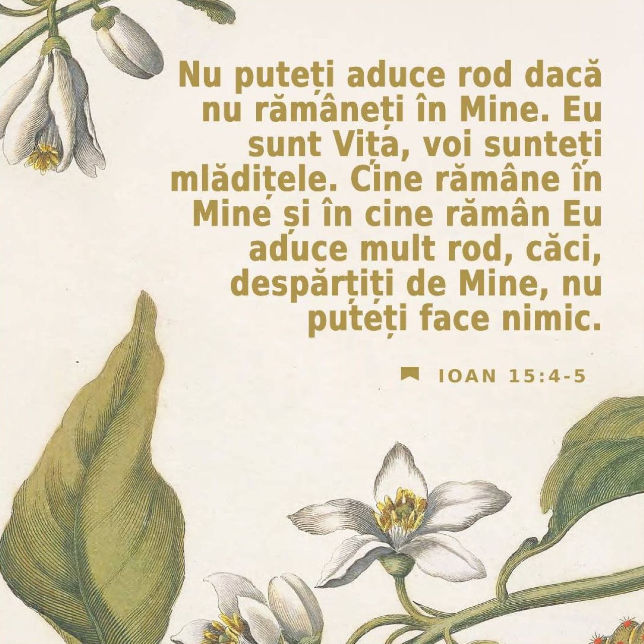 (27) Despărțiți de Mine nu puteți face nimic!