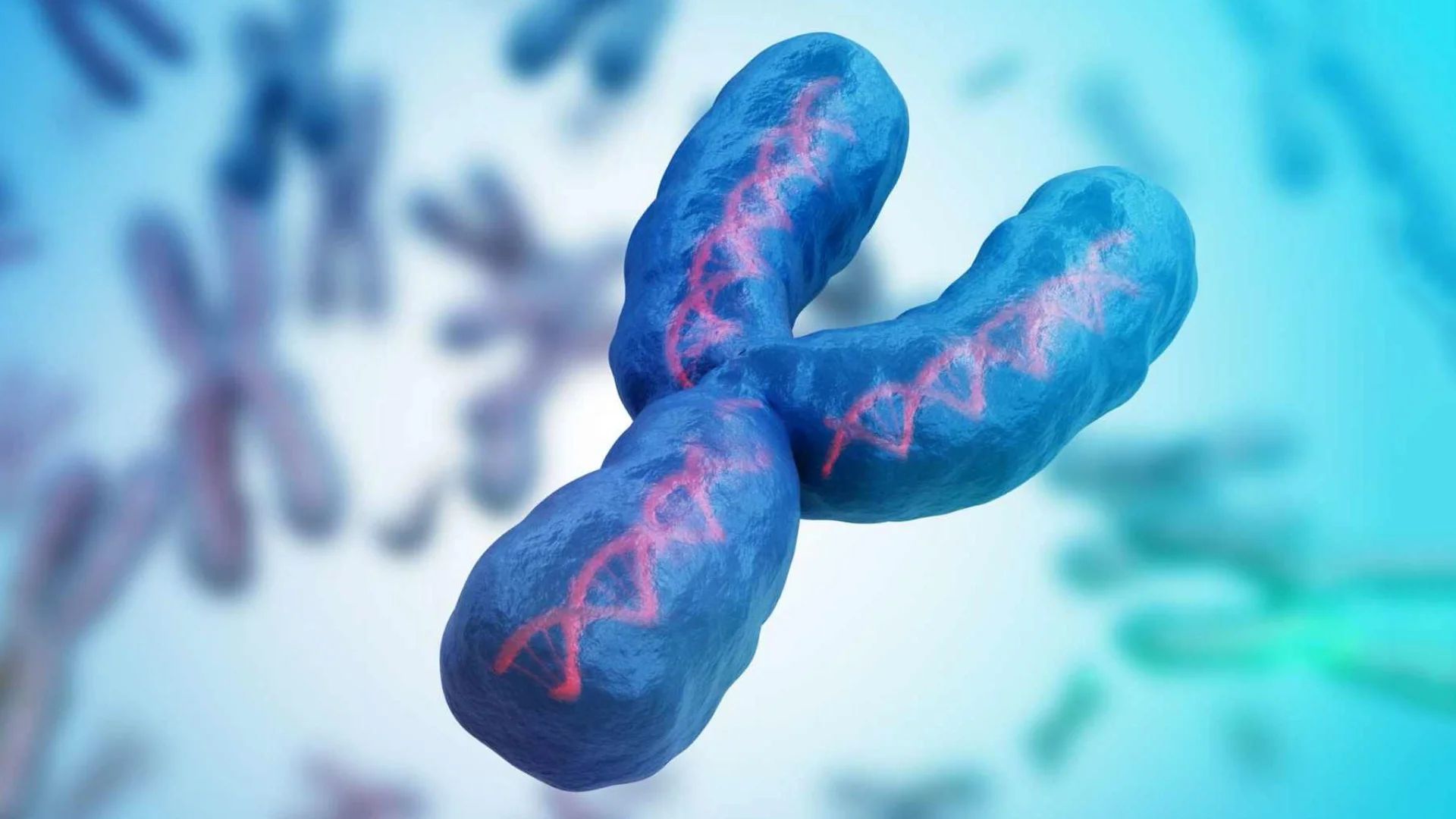 (14) Este orientarea sexuală moștenită genetic?