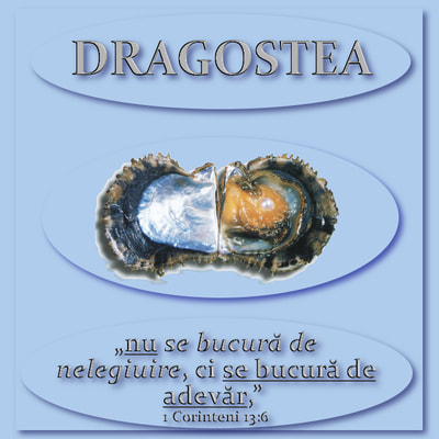 O pildă... -2-