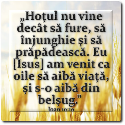 O pildă... -9-