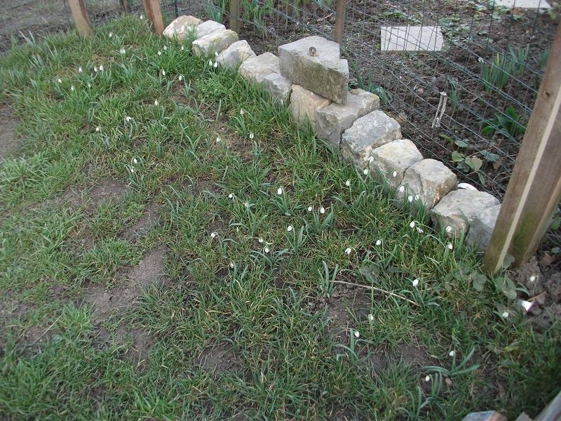 La început de primăvară, un gând pentru femei şi tinere…