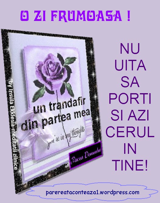 Ce nu-mi place mie si poate si nici voua (1)