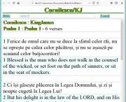 Aplicație online și offline Biblia bilinguă