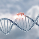 (07) Despre mutații și inginerie genetică