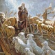 (13) Cum au încăput animalele pe corabie?