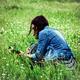 (20) Disciplina simplității