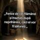 (46) Ferice de cei flămânzi și însetați după neprihănire