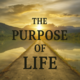 Why Do We Live... and What Do We Die For?