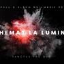 Turneu Sanctus Pro Deo: Chemat La Lumina 2019