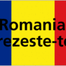 2008 - Anul Trezirii in Romania