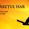 Maretul har