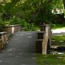 Biserica Elim va invita in Parcul Rozelor luni 16 iunie 2008 de la ora 18-00